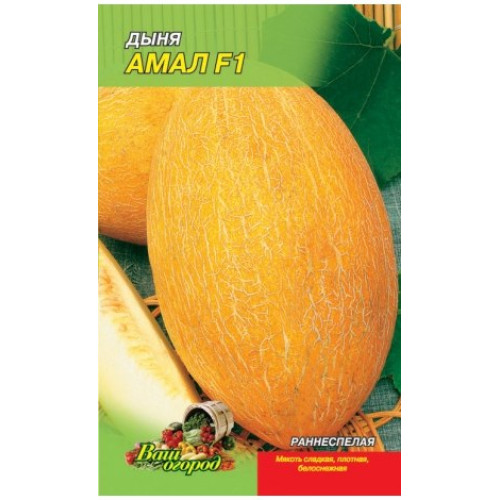 Амал F1 — насіння, Дині