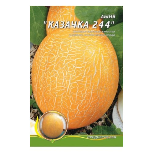 Козачка 244 — насіння, Дині