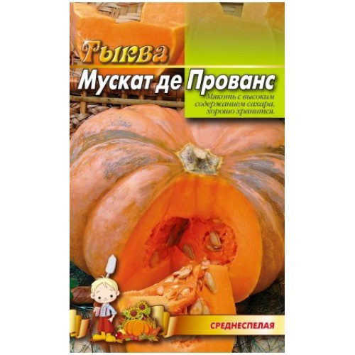 Мускат де Прованс — насіння, Гарбузи