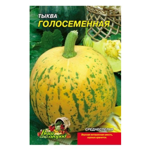 Голонасінних — насіння, Гарбузи