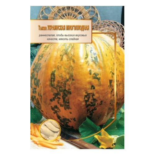 Українська багатоплідна — насіння, Гарбузи