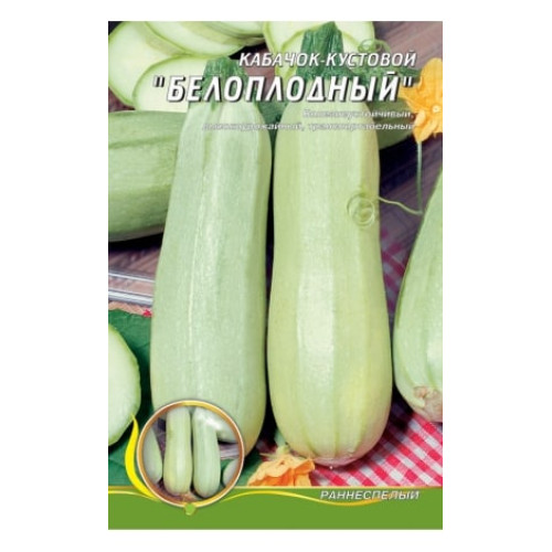 Белоплодний — насіння, Кабачки