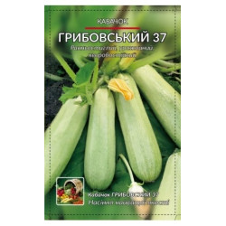 Грибовський 37