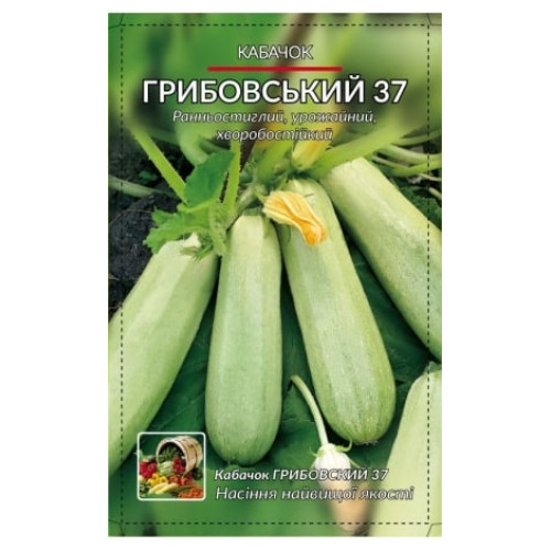 Грибовський 37 — насіння, Кабачки