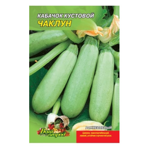 Чаклун — насіння, Кабачки