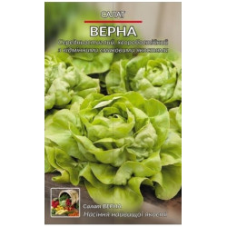 Салат Верна