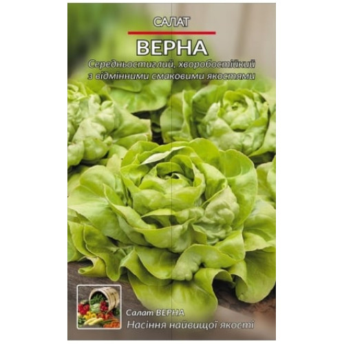 Салат Верна — насіння, Зелені культури