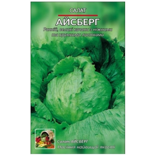 Салат Айзберг — насіння, Зелені культури