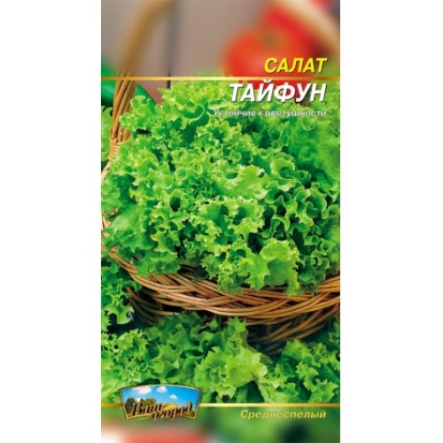 Салат Тайфун — насіння, Зелені культури