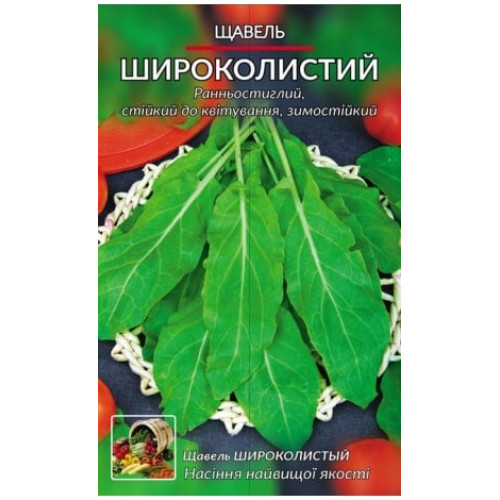 Щавель широколистий — насіння, Зелені культури