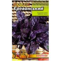 Базилік Єреванський