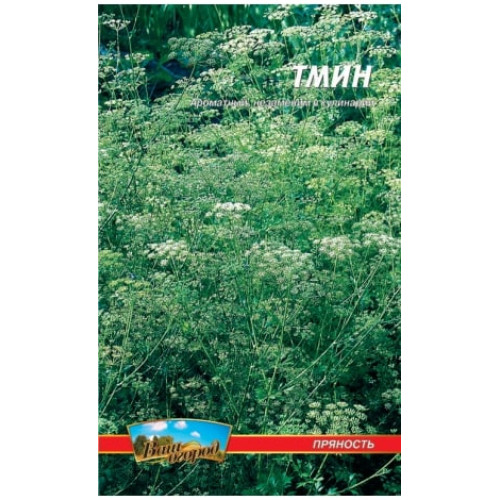 Кмин — насіння, Пряносмакові культури