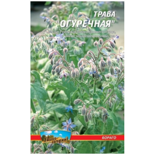 Огіркова трава Бораго — насіння, Пряносмакові культури