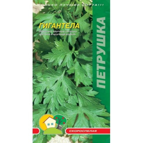 Петрушка Гігантела — насіння, Пряносмакові культури