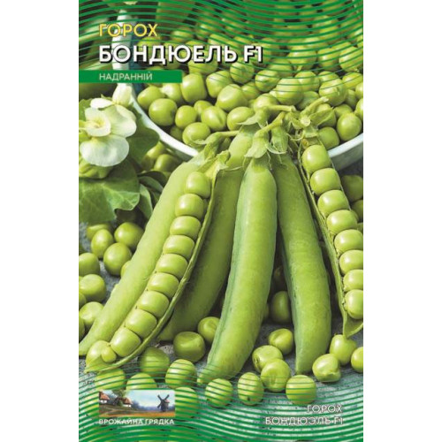 Бондюель. Горох — насіння, Бобові культури