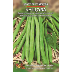 Кущова спаржева Кущова спаржева