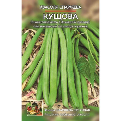 Кущова спаржева — насіння, Квасоля