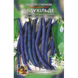 Квасоля Блаухільде Квасоля Блаухільде