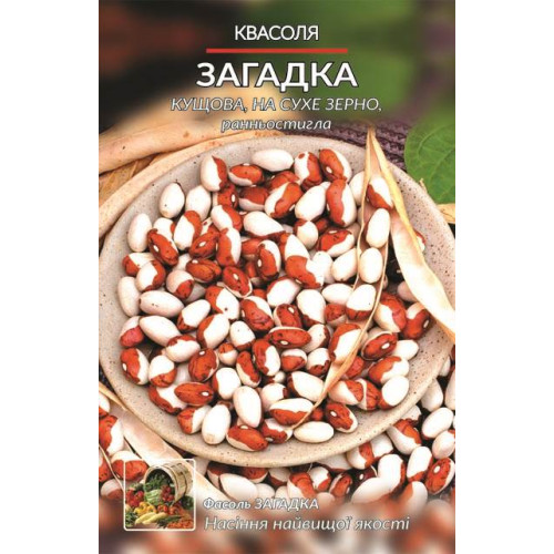 Загадка — насіння, Квасоля