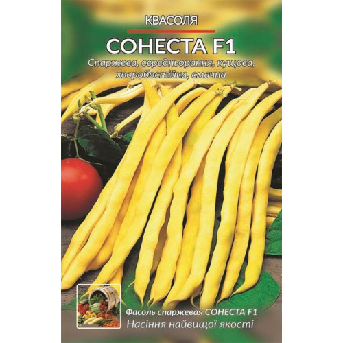 Сонеста F1 — насіння, Квасоля