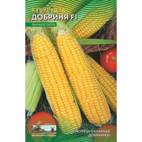 Добриня F1 — насіння, Кукурудза