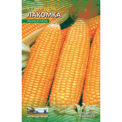 Ласунка — насіння, Кукурудза