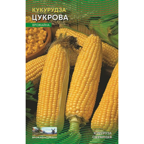Цукрова — насіння, Кукурудза