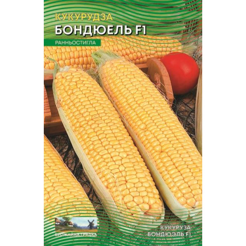 Бондюель F1 — насіння, Кукурудза
