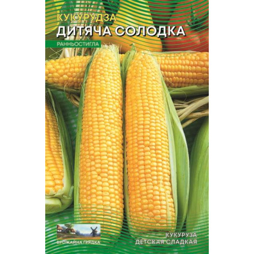 Дитяча солодка — насіння, Кукурудза