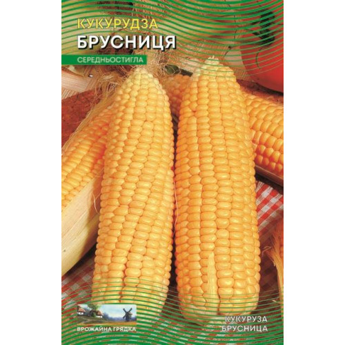 Брусниця — насіння, Кукурудза