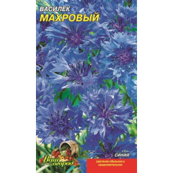 Васильок махровий