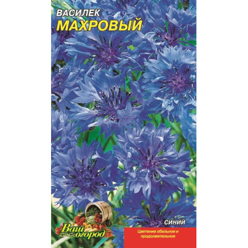 Васильок махровий — насіння, Квіти