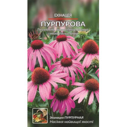 Ехінацея пурпурова