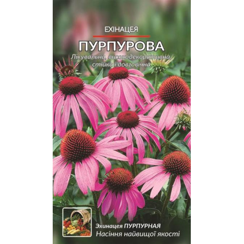 Ехінацея пурпурова — насіння, Квіти