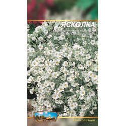 Ясколка багаторічна