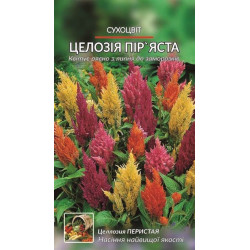 Целлозия пір'яста