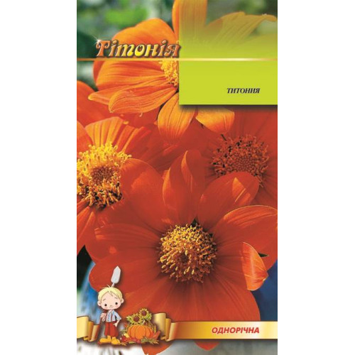 Титонія — насіння, Квіти