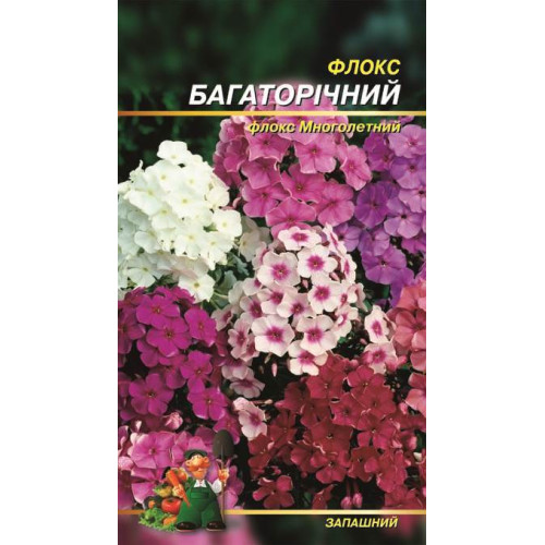 Флокс. Багаторічний — насіння, Квіти