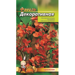 Квасоля декоративна