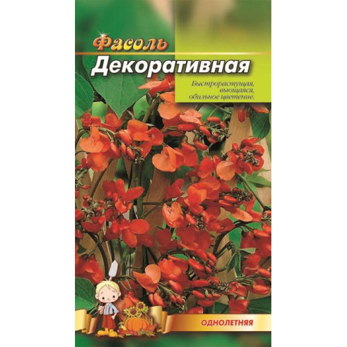 Квасоля декоративна — насіння, Квіти