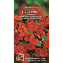 Настурція низькоросла