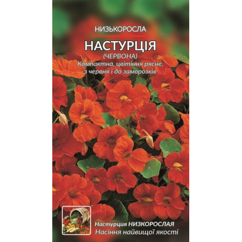 Настурція низькоросла — насіння, Квіти
