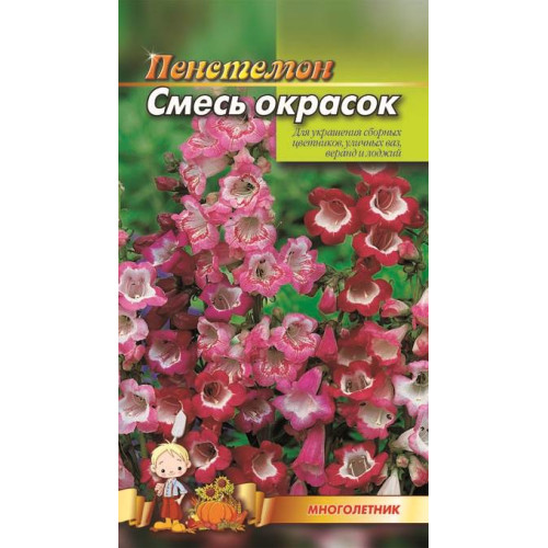 Пенстемон — насіння, Квіти