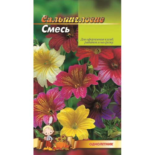 Сальпіглосис — насіння, Квіти