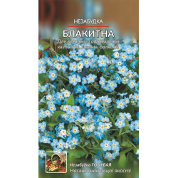 Незабудка блакитна