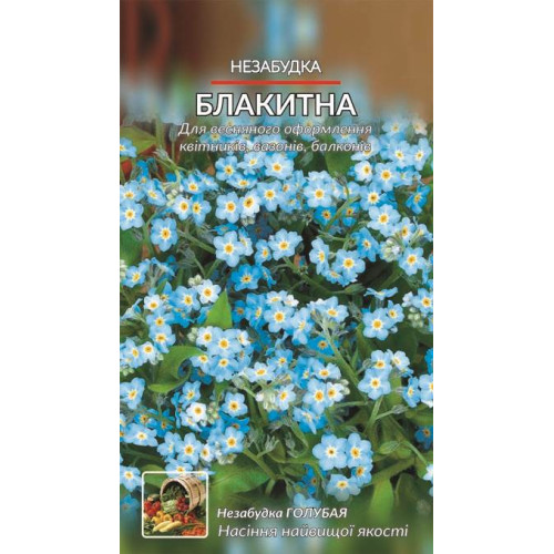 Незабудка блакитна — насіння, Квіти