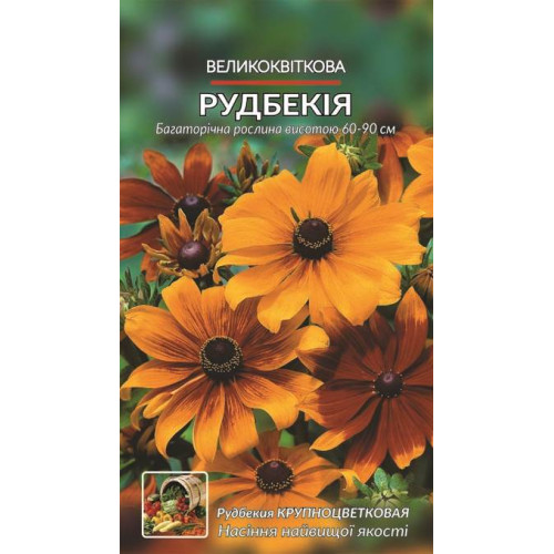 Рудбекія — насіння, Квіти