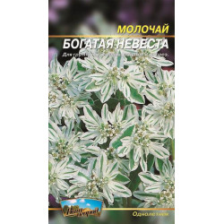 Молочай Богата невеста