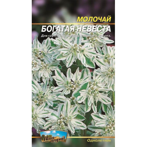 Молочай Богата невеста — насіння, Квіти