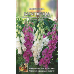 Наперстянка. Багаторічна.